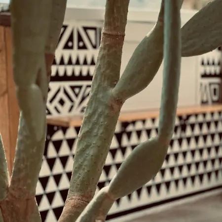 Semesterbostad La Casa Di Lusso N5 - Adults Only