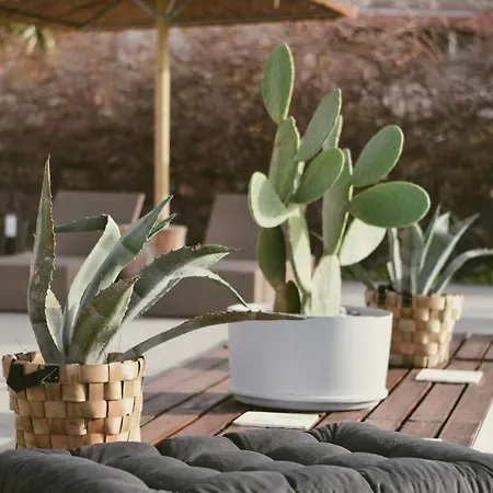 La Casa Di Lusso N5 - Adults Only Tatil Evi *