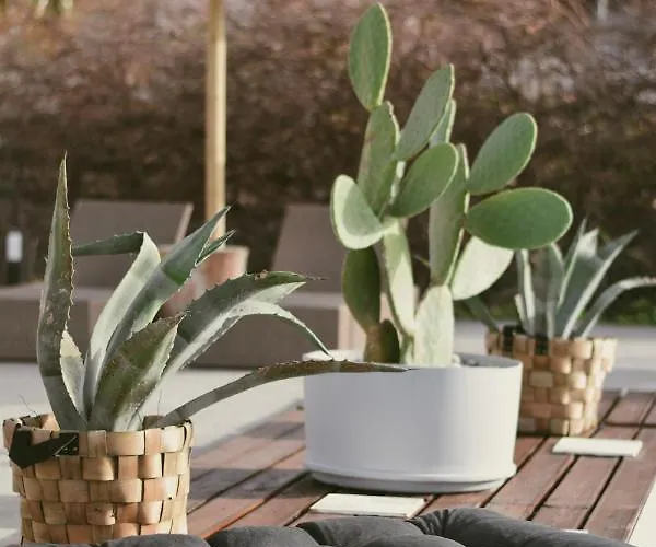 La Casa Di Lusso N5 - Adults Only Дом отдыха *