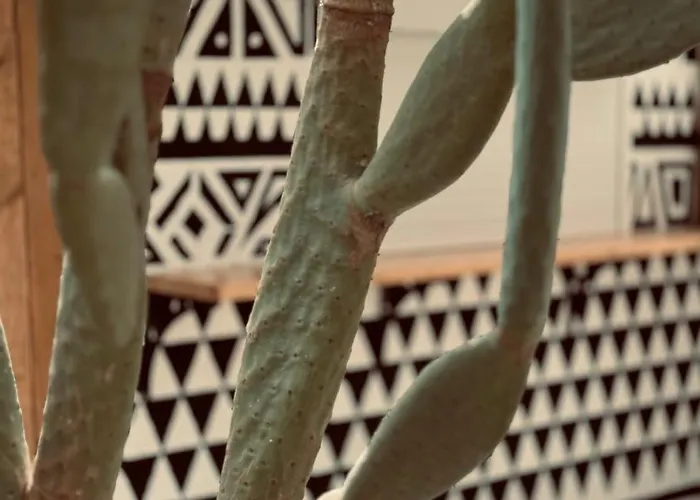 Case de vacanță La Casa Di Lusso N5 - Adults Only