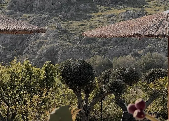 La Casa Di Lusso N5 - Adults Only Дом отдыха Колимбия